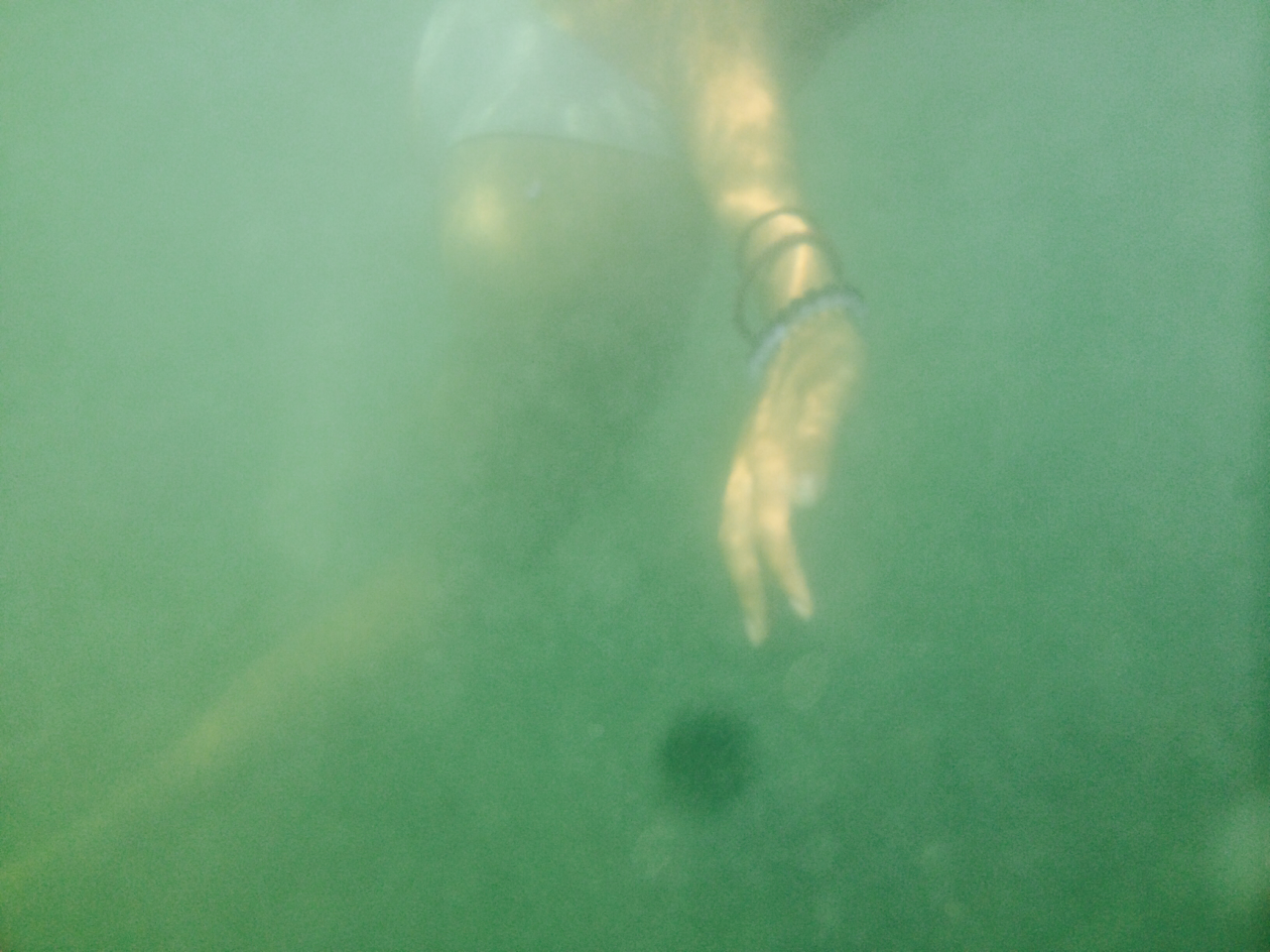 demigodcayron:  ill follow you …deep sea baby  