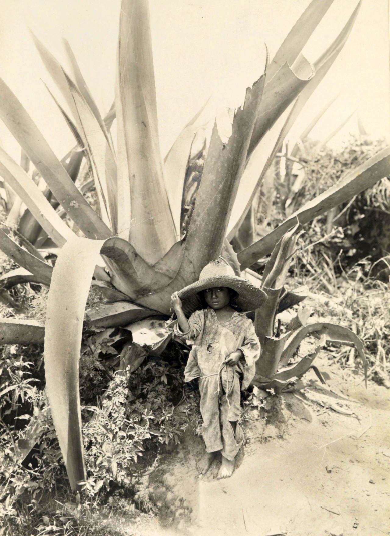 stolenshamelessly:  Child in the shade of an Agave plant, Atzcapotzalco, Mexico,