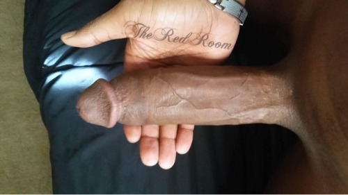 https://lennyperdomo.tumblr.com/post/165798038935