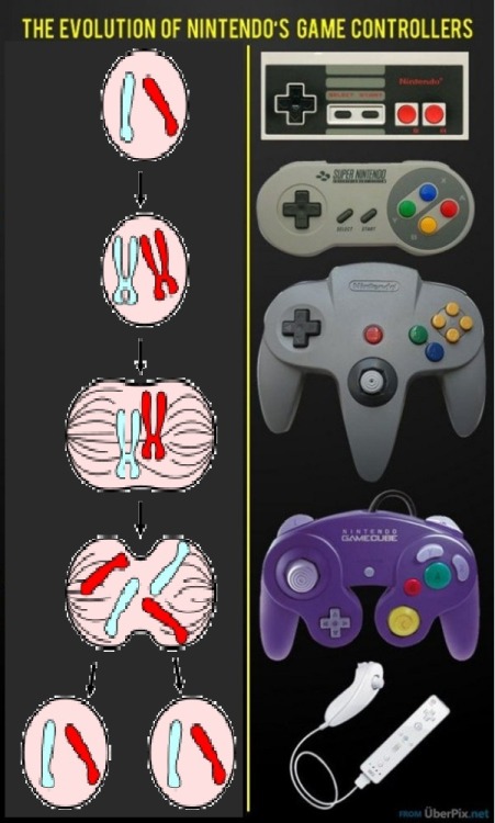 Porn photo 8bitfuture:  The Evolution of Nintendo Controllers.