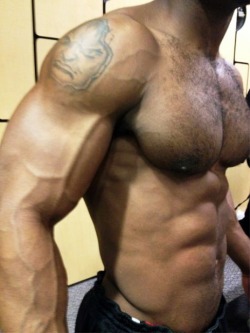 maxxx82:  HAIRY, BEEFY PECS…THE BEST KIND…