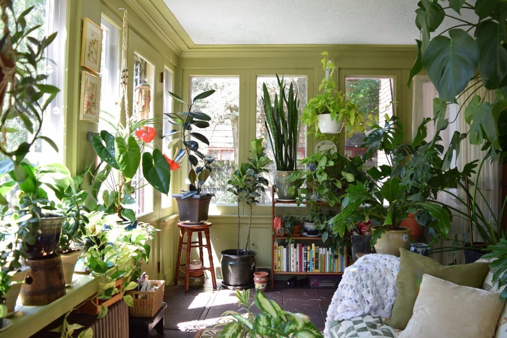 perceptinspire:  Apartment Therapy: Natasha and the Plant-Filled Sunroom 