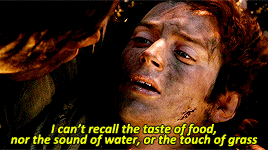 arwenns:lotr meme: 10 scenes [10/10] 