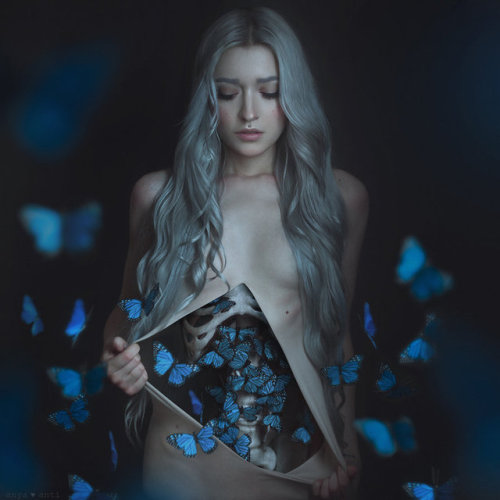 love69web:Butterflies in my stomach by AnitaAnti