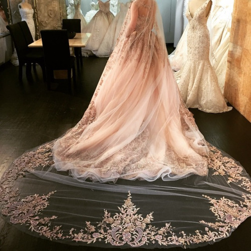 Agent Provocateur