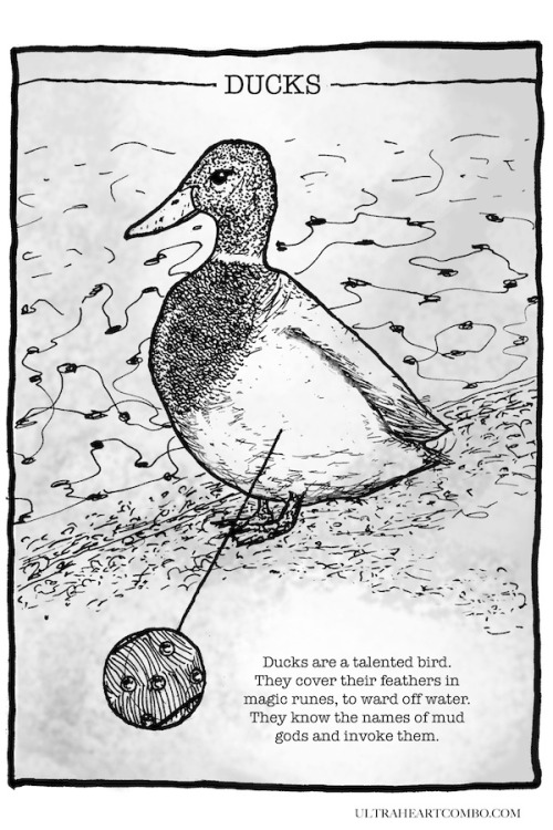 ultraheartcombo:composite post: the About Ducks comic