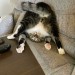 catasters: