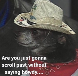 baka-dot-exe: moonlandingwasfaked:  howdy partner 