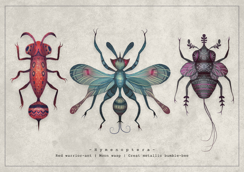 fairytalesandvampires:  Specimens from the Entomology Vol. II seriesPrints available