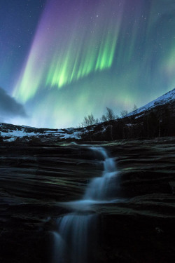 ponderation:  Sila by tommyeliassen 