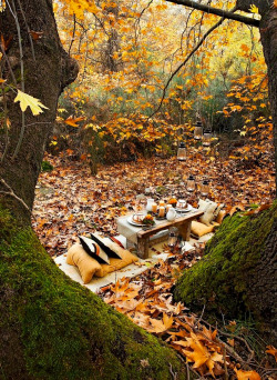 coiour-my-world:Picnic at Falling Leaves