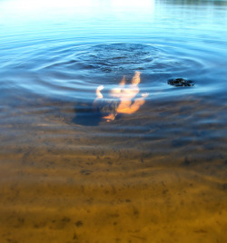 lejulesverne:  0-u-t-s-i-d-e:  Naked Summer Swimming. (by TakeItEasy.)  Lejulesverne.Tumblr.Com/ - follow for more :) 