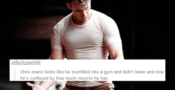 tsundereslasher:  Chris Evans: a summary in text posts 