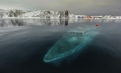 joyfulgrl:   Sunken yacht in Antarctica.