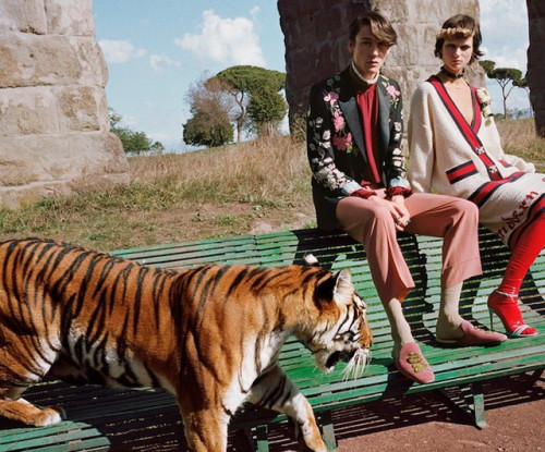 juicydistortion:Gucci SS17