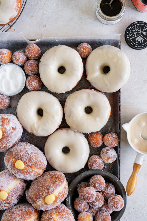 fattributes:  Vanilla Bean and Honey Doughnuts