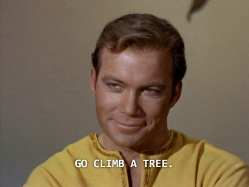 plaidshirtjimkirk:Perfect face is perfect at all times