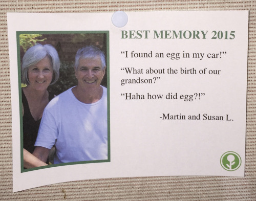 obviousplant: I wrote some fake ‘Best Memories of 2015′ and left them on a communi