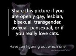 Rebdoodle:  Franklycats:  Share This Picture If You Are Openly Gay, Lesbian, Bisexual,