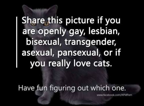 rebdoodle:franklycats:Share this picture if you are openly gay, lesbian, bisexual, transgender, asex