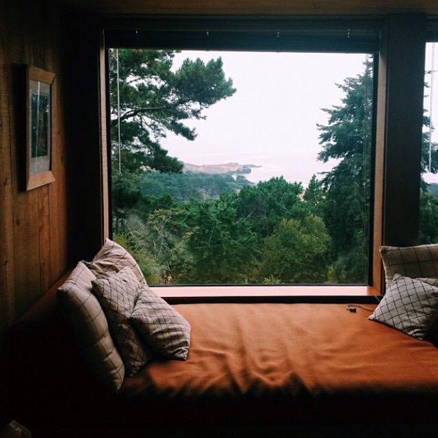 Overlooking the trees