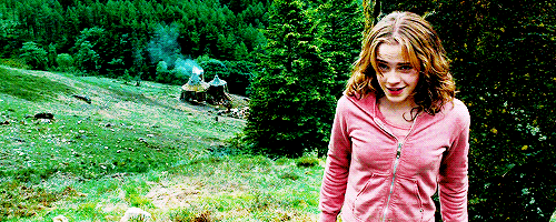 arthurpendragonns:Books! And cleverness! There are more important things - friendship and bravery.