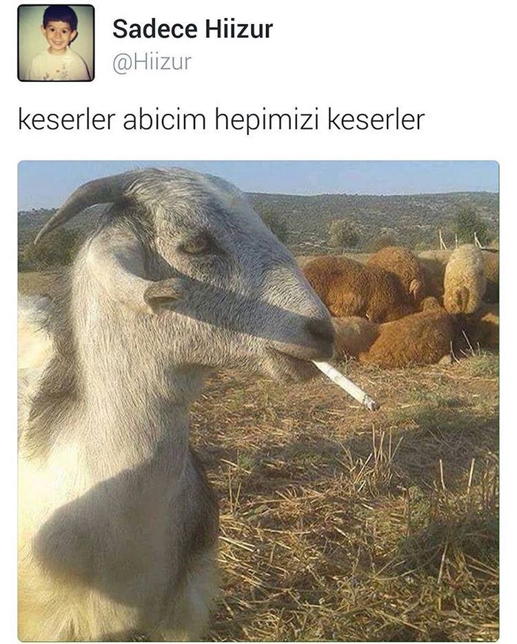 Keserler abicim 
hepimizi keserler