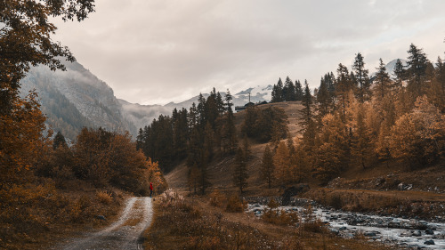 Porn ⚾️Baseball And Country Roads🌻 photos