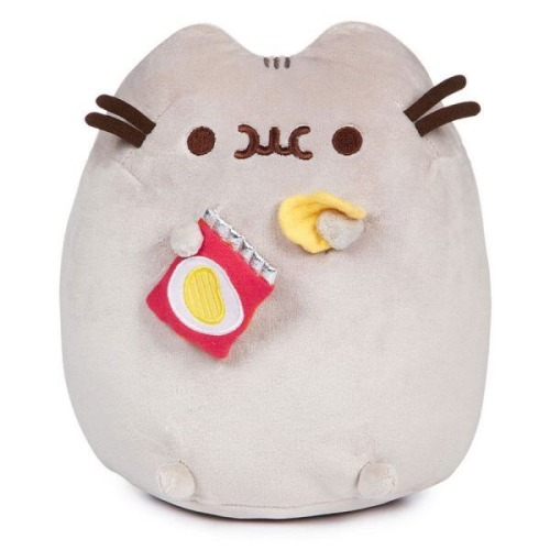 Really cute pusheen stuffie!