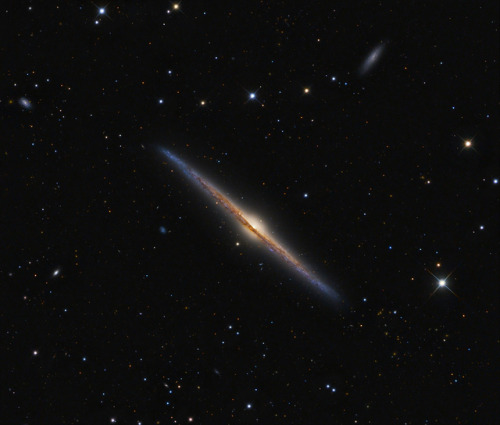 breathesuniverse:NGC 4565 by Johnny Paglioli on Flickr.