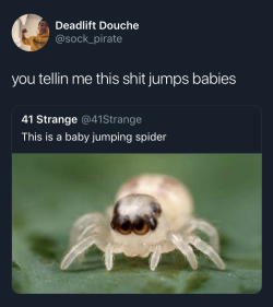 babyjumpingspider: issablogyall:  