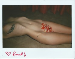 maninblack-2000:  Roarie Yum,  Instax, December 2013, © by EriktN Christmas Give away! Some randomly selected persons will win an original instax shot by me and signed by Roarie. There are three being given away. On Christmas all the entries will be