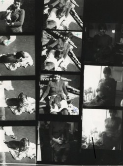 grigiabot:  Francesca Woodman contact sheet