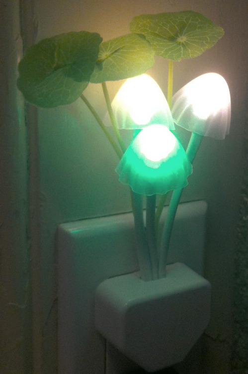 Porn Pics  Glowing Mushroom Fantasy Nightlight Plant