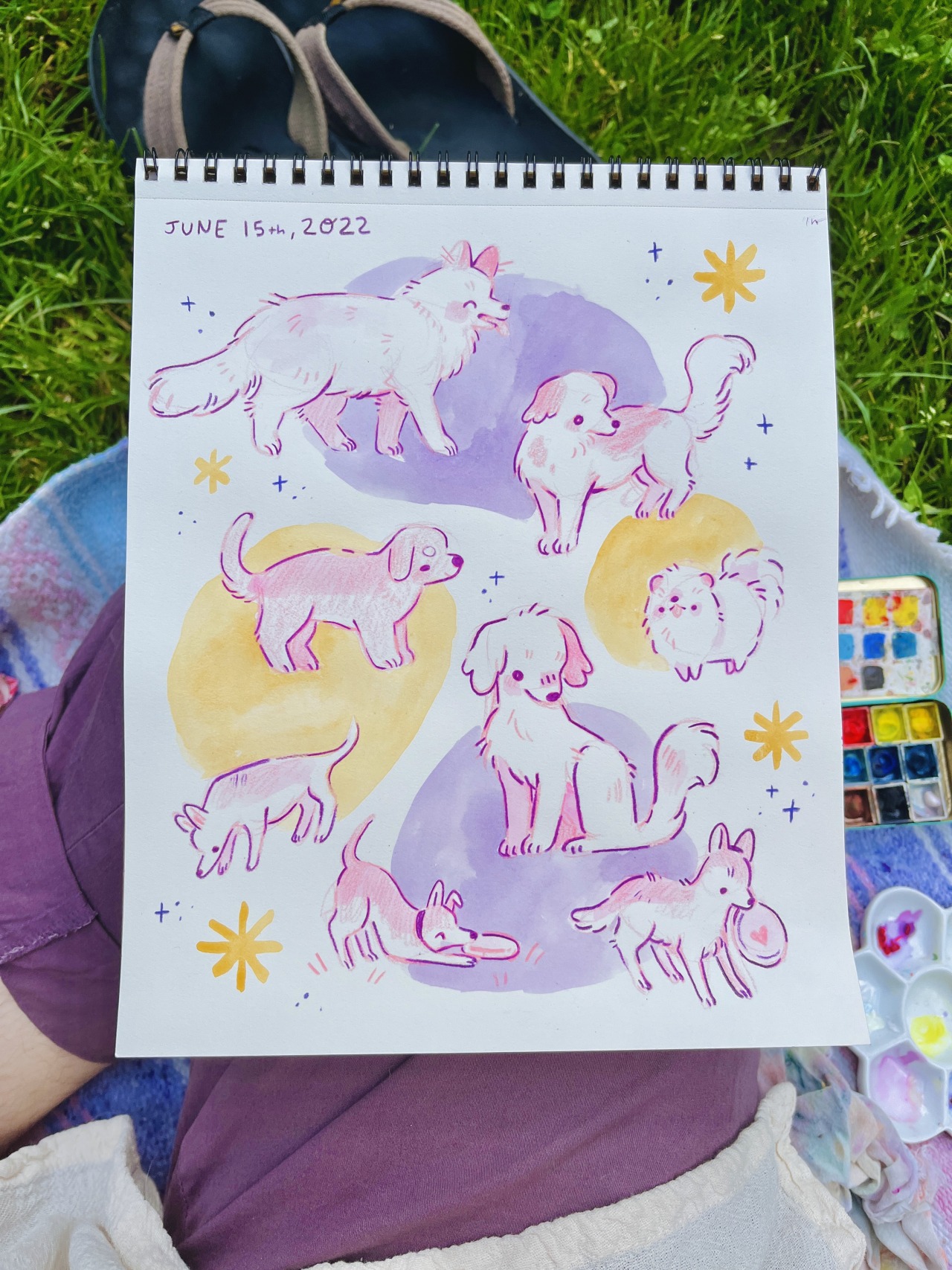 Dog Park Doodles