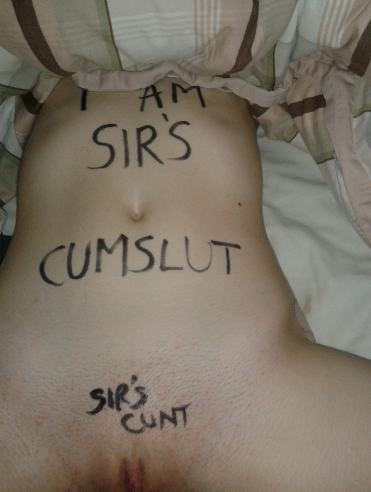 Sir's World
