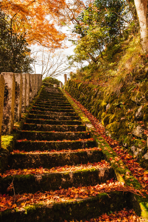 Thursday 23rd November 2017. 13:00 Mt. Kurama Kyoto.The higher I walked towards the top of the mount