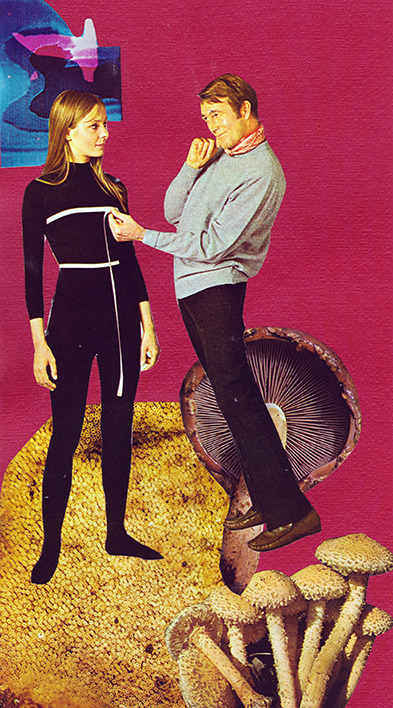 dannycollage:  “Freddy” 