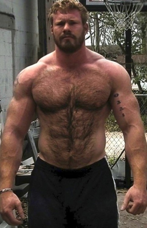 thebearunderground: The Bear Underground - best in masculine hairy menWith over 56,000+ pics and vid