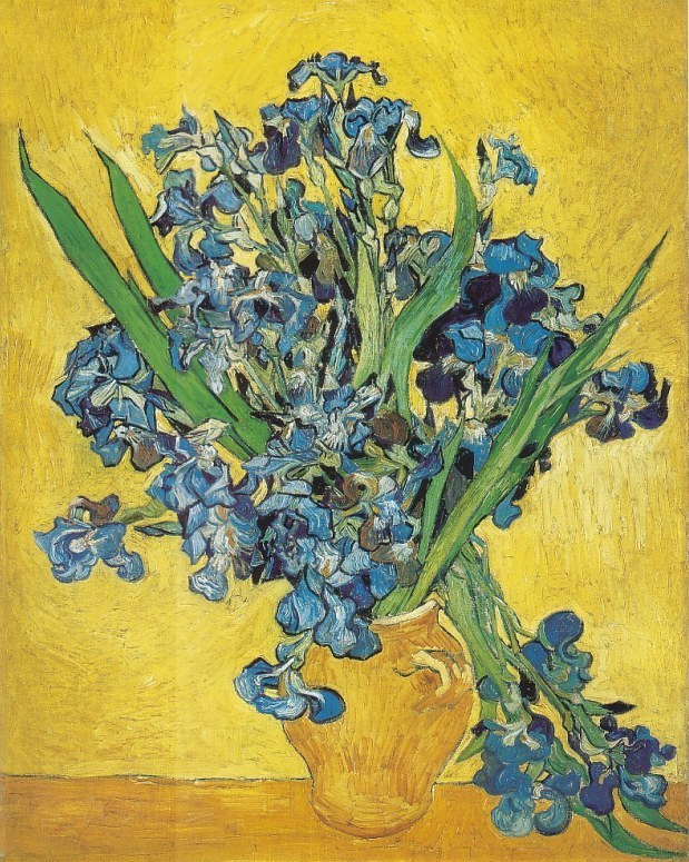 sorrowingoldman:  Van Gogh + Outdoor Irises &amp; Indoor Irises (1890)