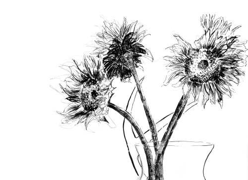Ink SunflowersLots of tiny brush work with India ink and some 0.5 micropen - needless to say this wa