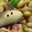 elusive-lagume