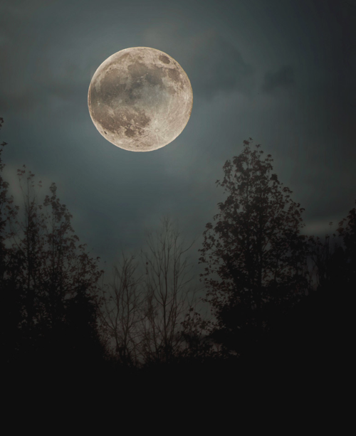 slunny:  ☽ Natural &amp; Spiritual blog ☾