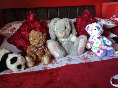 sweetinnocentbabygirl:  skybaby111:  sweetinnocentbabygirl:  My friends !:-) my big rabbit in the middle is in charge of the room and everyone in it when I’m not there!  Whats there namess? /).(\  Hewlo! Well.. From left to right it’s..Hamish..Hoby