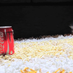 Wacollabo:  Only——Gifs:  Follow Me!   