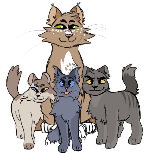 Au Where Instead Of Bluestar Giving Her Kits To Riverclan Thrushpelt Is A Nursery Dad