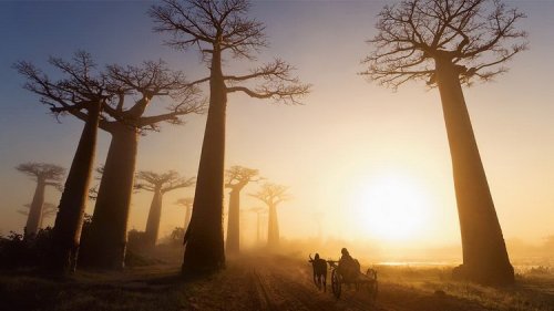 , . Madagascar, East Africa.