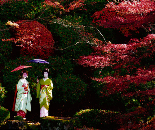 okiya:  Maiko Katsuhina and Geiko Kyouka, Gion Kobu (via http://www.photo-kyoto.jp/maiko2012/)