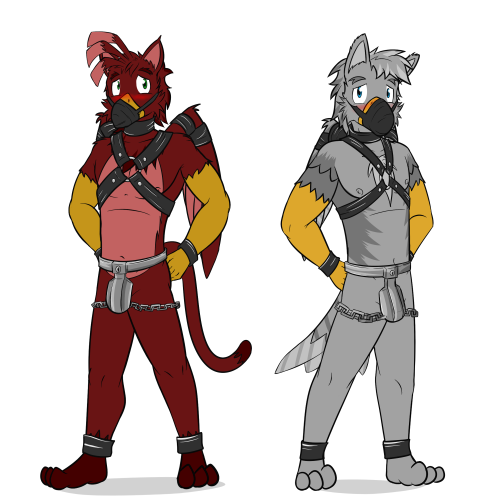 So time to start putting some more random things online.  Starting with this one, which is a ref pic for a griffon and his boyfriend which was a gift since he’s helped me with some coding stuff.