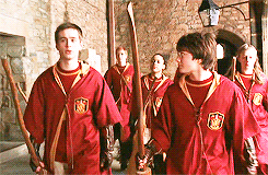  harry potter + colours 